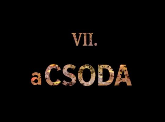 Jézus és ... a CSODA